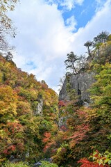青空バックに見上げる鳴子峡の紅葉絶景＠宮城