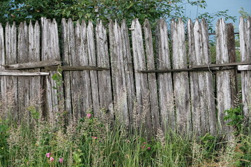 The old village wooden fence is overgrown with grass and flowers, front view. Summer evening before the rain, atmospheric background.