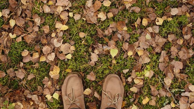 Point of view from first person 4k video footage of two male legs wearing brown casual leather shoes standing on scenic countryside autumn ground covered with brown, yellow and orange dry leaves