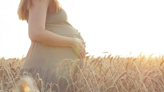 pregnant red-haired young woman in dress standing in field of ripe ears of wheat and enjoying sunset, hands stroke belly with love, future mother relaxing in nature, concept of motherhood