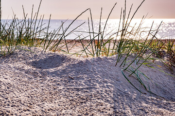 Background of sand dune and sea out of focus. Travel and holiday concept