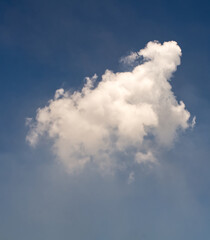 Fototapeta na wymiar white clouds float across the blue sky