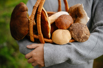 A female forester holds a wicker basket full of beautiful edible mushrooms in her hands. Organic...