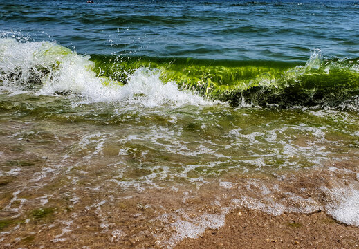 waves on the beach