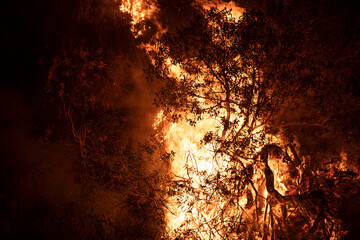 A nighttime wildfire tears through the hills of California.