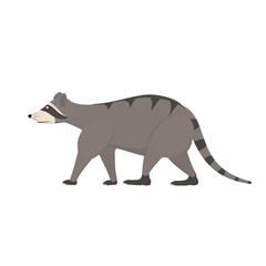 Raccoon. Animal raccoon, vector illustration