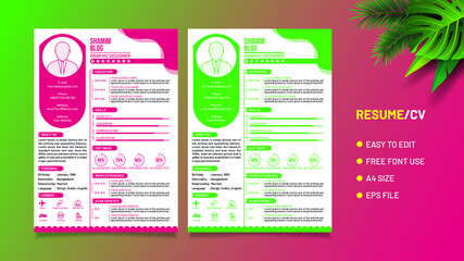 Beautiful cv resume template stylish design