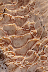 Natural travertine stone close up, abstract background