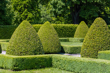 Summer park with decoratively cut trees and hedges