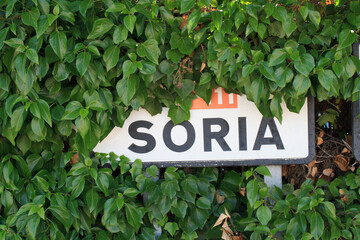 soria road sign is eaten by vegetation