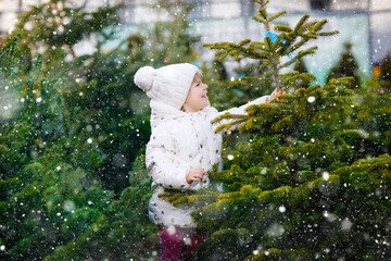 Adorable little toddler girl holding Christmas tree on market. Happy healthy baby child in winter fashion clothes choosing and buying big Xmas tree in outdoor shop. Family, tradition, celebration.