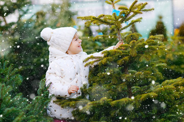 Adorable little toddler girl holding Christmas tree on market. Happy healthy baby child in winter fashion clothes choosing and buying big Xmas tree in outdoor shop. Family, tradition, celebration.