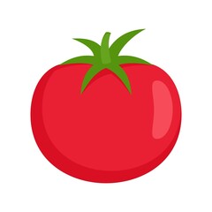 Raw tomato icon flat isolated vector
