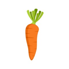 Carrot icon flat isolated vector