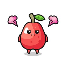 annoyed expression of the cute water apple cartoon character