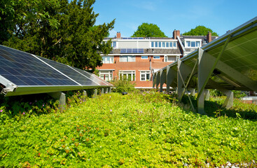Solar panels on a sedum green rooftop garden on behalf of climate adaptation. Photo voltaic panels...