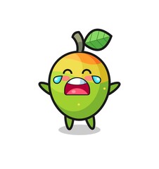 the illustration of crying mango cute baby