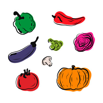 vegetables, fresh food fron garden. vector ullustration. for icon, web, emblem for products. isolated on white background.