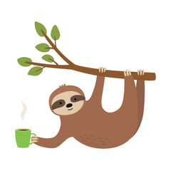 Cute sloth hang on twig and holding cup. © Nadzin