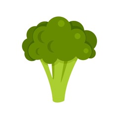 Broccoli cabbage icon flat isolated vector