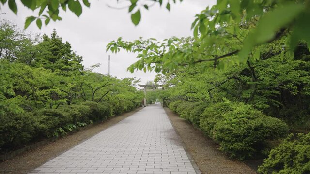 Rack Focus Reveal of Stone Walkway to Nawa Shrine in Mikuriya, Tottori Japan
