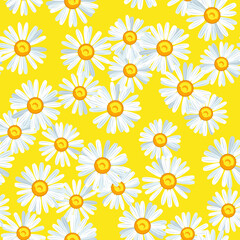 Daisy flower seamless vector pattern - 448226108