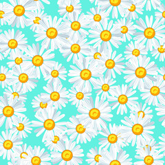 Daisy flower seamless vector pattern - 448226109