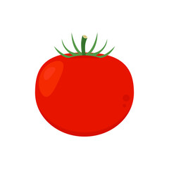 Tomato cartoon. Tomato vector. Tomato on white background.