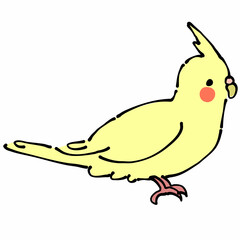 黄色のオカメインコ　横
