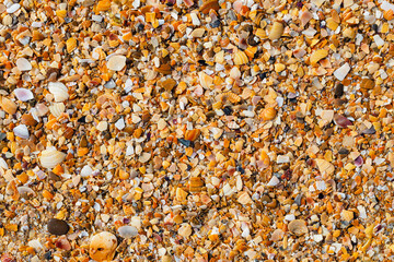 background: small wet broken shell rock off the Black Sea coast