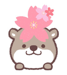 カワウソとサクラ