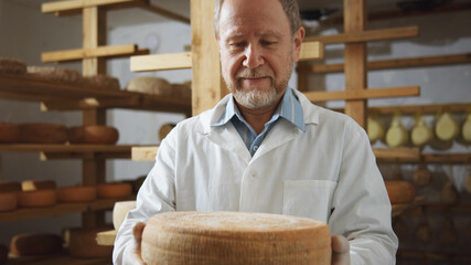 Smiling cheerful bearded farmer holding big cheese round closeup looking at product. Healthy nutrition concept. Cow milky farm eco business trend. Macro shooting. Milk products industry.