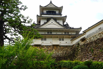 Kochi Castle or Kochi-jo in Kochi, Japan - 日本 高知県 高知城 天守閣