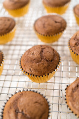 Chocolate raspberry cupcakes