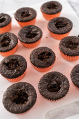 Chocolate strawberry cupcakes