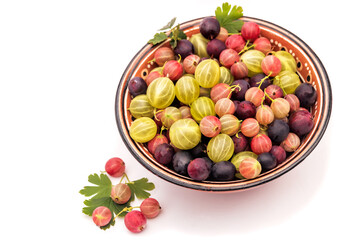 In a clay bowl, a mixture of ripe delicious wholesome garden gooseberries on an isolated white background. 