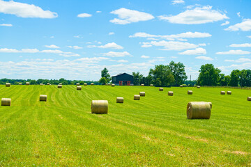 Hay bales on a farm
