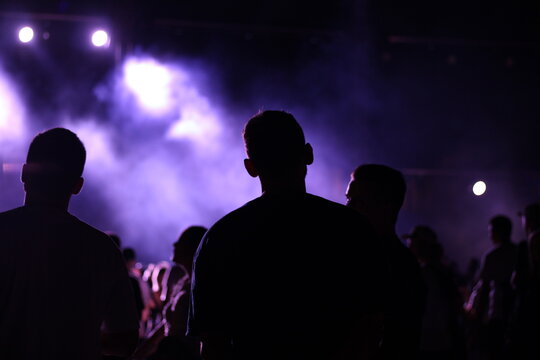Silhouettes of people dancing at summer music festival