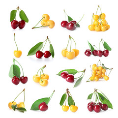 Tasty sweet cherries on white background