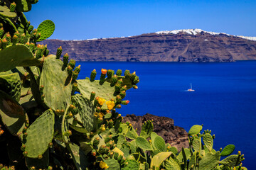 Santorini - officially Thira and classic Greek Thera is an island in the southern Aegean Sea, about...