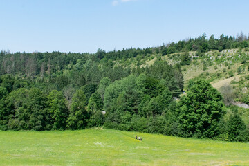 Naklejka premium the main subject is out of focus, green field summer czech republic group of people walking hiking vacation trip
