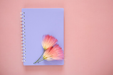Purple notebook cover and fluffy pink flowers Lankaran acacia on a pink background. Flat lay, top view, copy space
