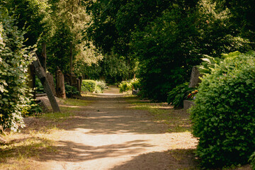 Fototapeta na wymiar alley in the park or forest type cemetery traditional in Latvia. Sunny day, shadows on pathway from trees and monuments. Crosses and gravestones