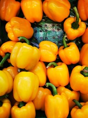 Fresh peppers are sold in vegetable shops. The fruit is big and looks beautiful