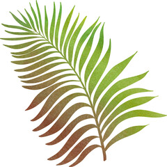 Naklejka premium Green brown tropical watercolor palm leaf isolated. Exotic Fern leaf botanical illustration