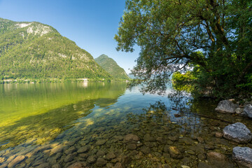 Ufer am Hallstätter See