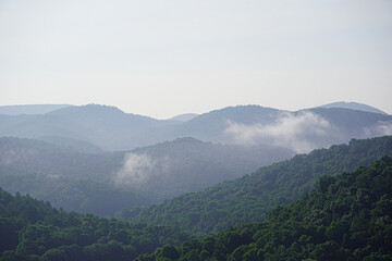 Fog rolls through the picturesque forest mountains.
