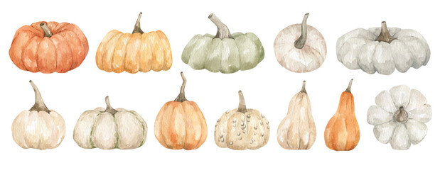 Watercolor set with colorful pumpkins. Autumn vegetables. Orange veggies for fall holidays