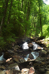 Water flows through a creek, long exposure.