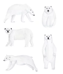 Foto op Canvas Polar bears watercolor elements set. Template for decorating designs and illustrations. © Екатерина Голоднюк